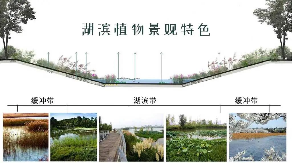 微信图片_20210917113032.jpg